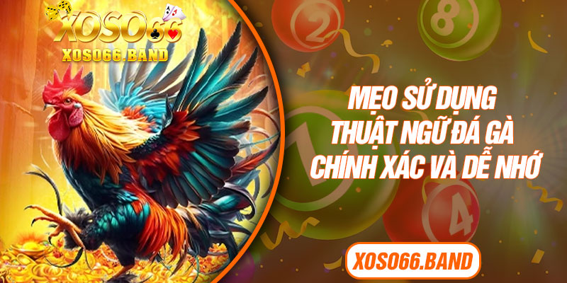 Mẹo sử dụng thuật ngữ đá gà chính xác và dễ nhớ 